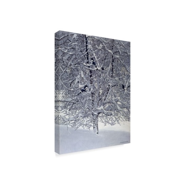 Harro Maass 'Snow Tree With Magpies' Canvas Art,24x32